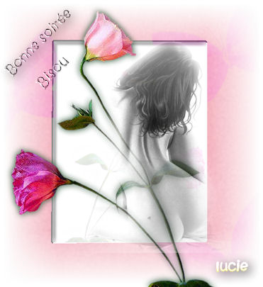 douce nuit  les amies