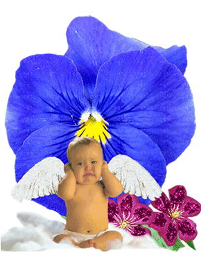 brise la loi du silence