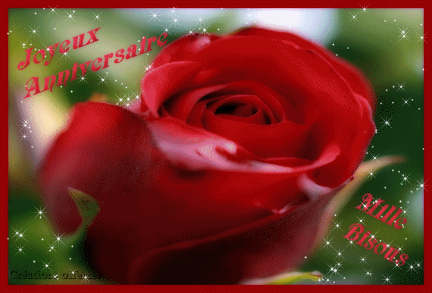 joyeux anniversaire yoann