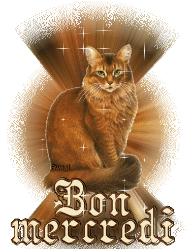 salut a vous les amies