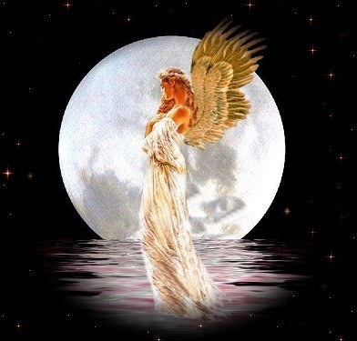 cadeau d'aimer le vie