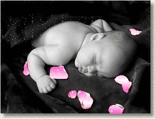 super bon!!!!!!!!!!!!!!!!!!