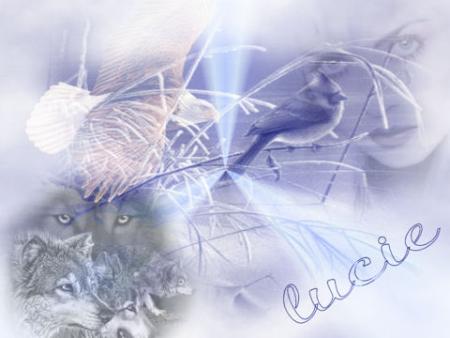 bonne fin de journ�e